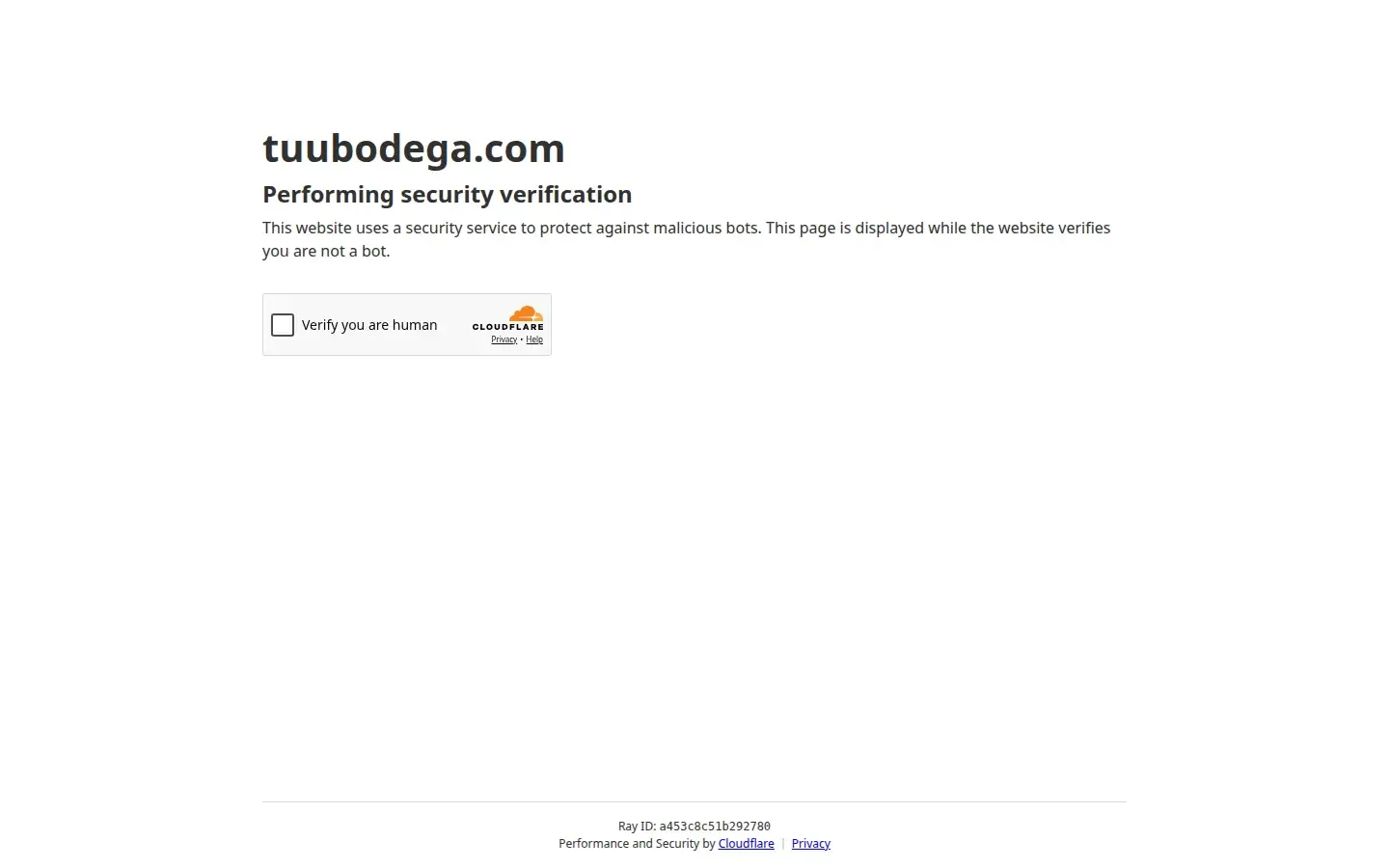 Sitio web Tuu Bodega